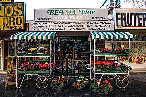 Floristería en Marbella Beyma Flor