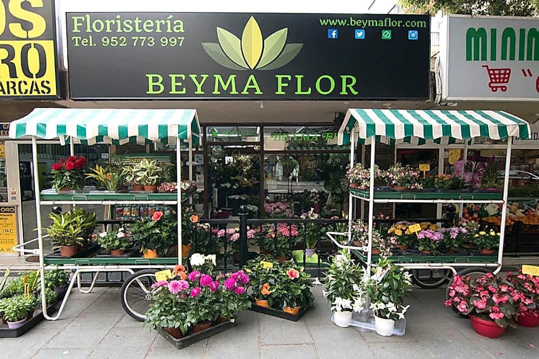 Floristería en Marbella Beyma Flor